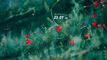 治愈护眼绿叶鲜花