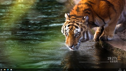 4K老虎-猛虎饮水