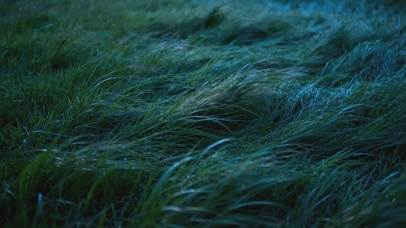 杂志质感护眼壁纸