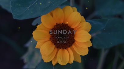 4k唯美风景桌面