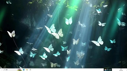 蝴蝶之翼  主题