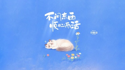 治愈猫咪 励志语录