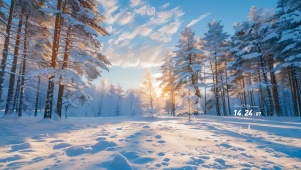雪后的美景