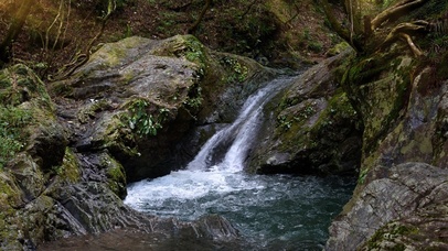 夏日清凉山涧溪流