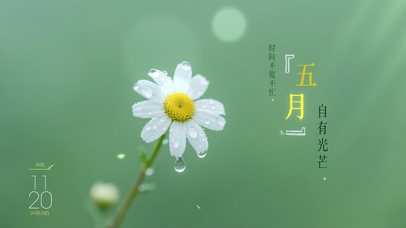 时间不慌不忙，五月自有光芒。