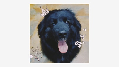 今天你旺了吗？