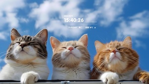可爱三只猫