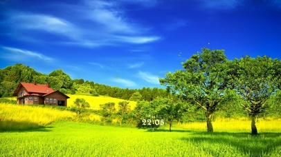 落在生命里的一束光