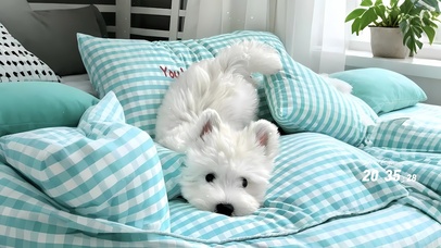 可爱小狗～ins风