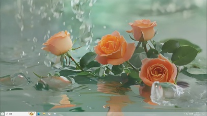 水中玫瑰