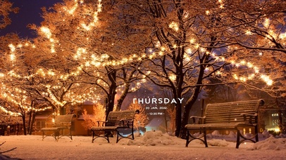 夜晚发光的树林