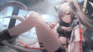 猫姐姐