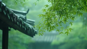 护眼雨中竹亭