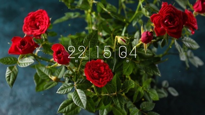 高清4k小清新壁纸