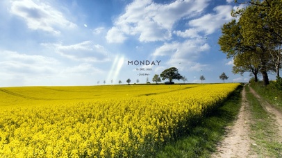 治愈田间幽径小路