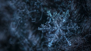 缓缓飘雪