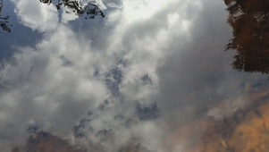 镜花水月泛流霞