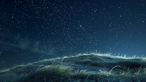 夜景