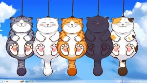 悠闲小猫
