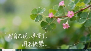 护眼小清新桌面主题