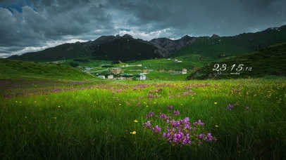 5K 雨天鲜花绽放的山谷