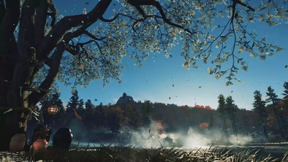 治愈风景4K动态壁纸