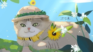 夏日树荫下的猫