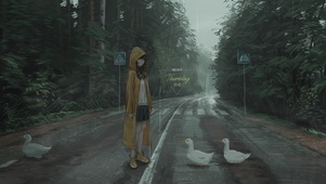 雨天赶鸭子的女孩
