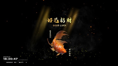 好运招财 锦鲤附体