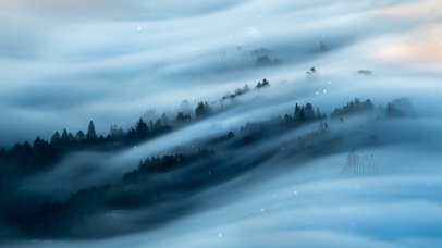 4K 森林之巅流云