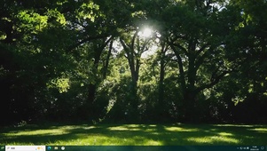 护眼森林绿景桌面主题