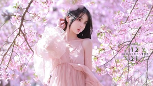 樱花女孩