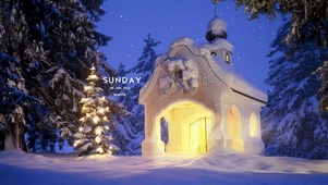 雪屋与圣诞树