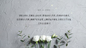 极简清新电脑壁纸