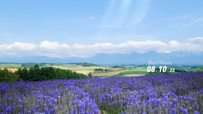 4k高清唯美治愈系列