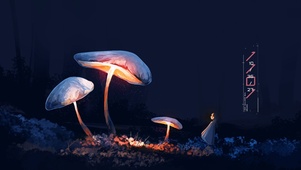 4k梦幻蘑菇