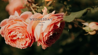 4k高清治愈风景系列