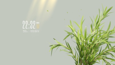 绿植小清新桌面
