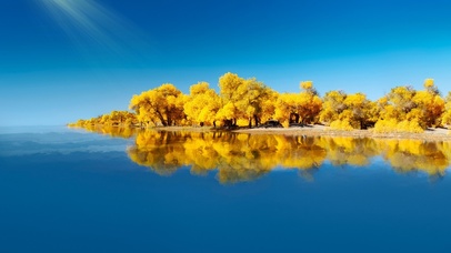 璀璨金秋～镜天水月