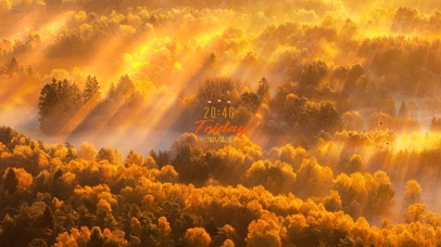 金色森林