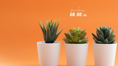 简约小清新盆栽电脑壁纸