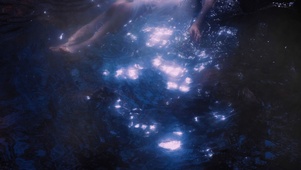 她2