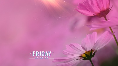 超美治愈粉色花