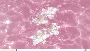 水中百合  主题