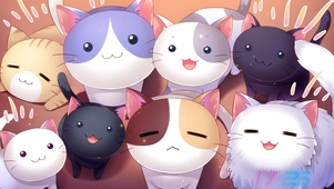 超萌猫咪