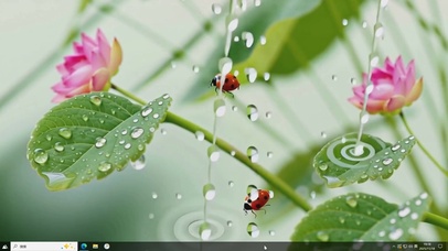 微雨-桌面主题