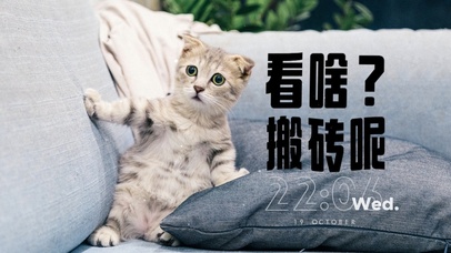 沙楞的猫咪打工人搬砖
