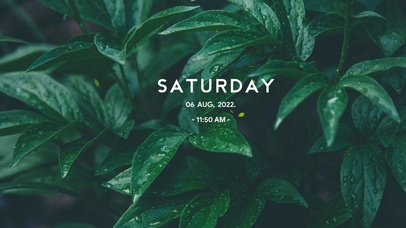 4k高清治愈护眼小清新