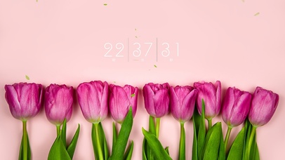 小清新电脑壁纸