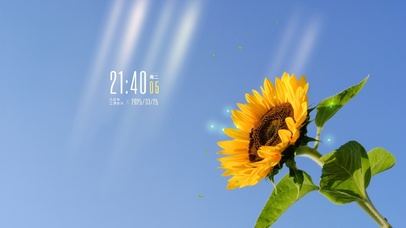 阳光清新向日葵风景桌面